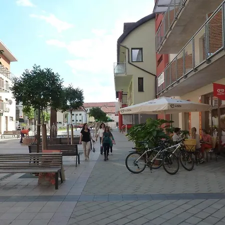 Pensión Kycera Oscadnica